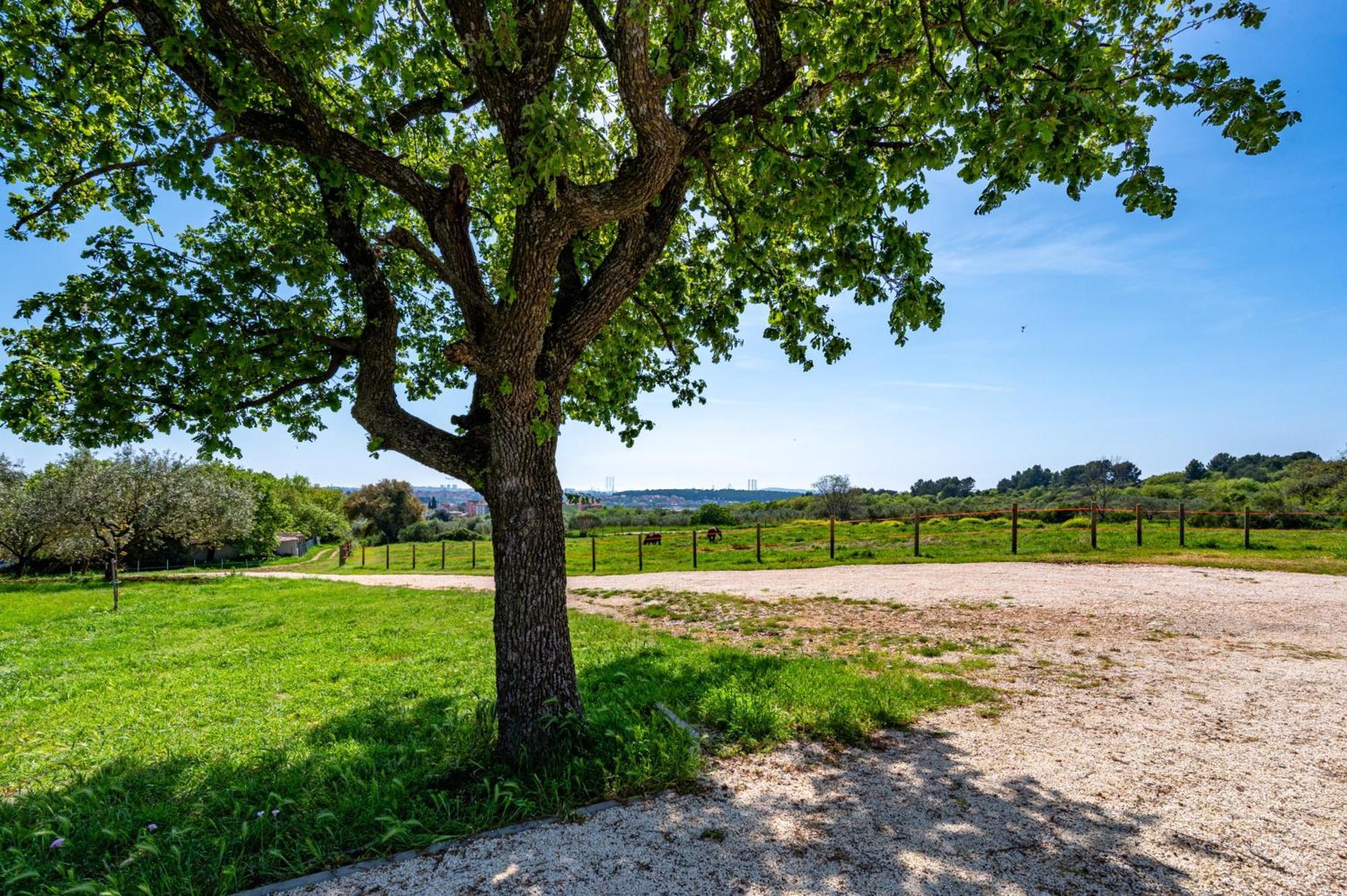 Vista - New Entry 2025 Villa Pula